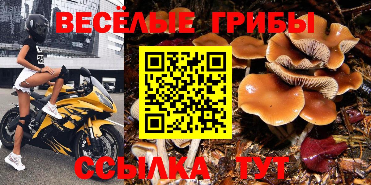 Псилоцибиновые грибы MAGIC MUSHROOMS Верхняя Салда