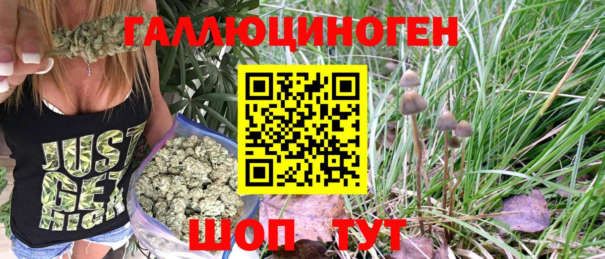 Верхняя Салда  Галлюциногенные грибы MAGIC MUSHROOMS  Вход с VPN 